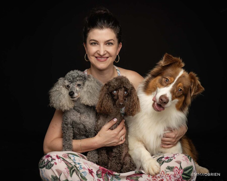 woman sitting in a photography studio with two poodles and an Australian shepherd