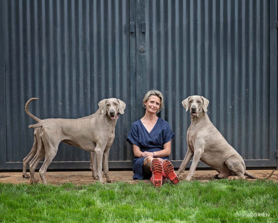 woman sitting against a grey door with 3 weimaraners