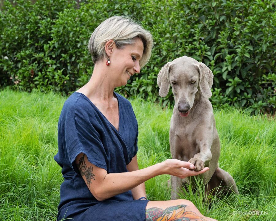 woman sitting on grass holding her weimaraner's paw